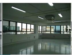 Trivex (D13), Factory #630596181